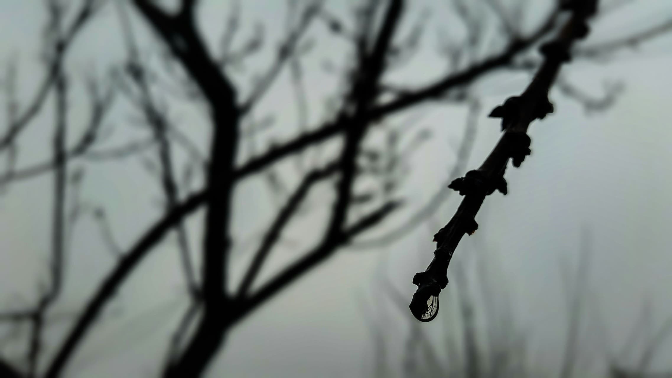 Drop