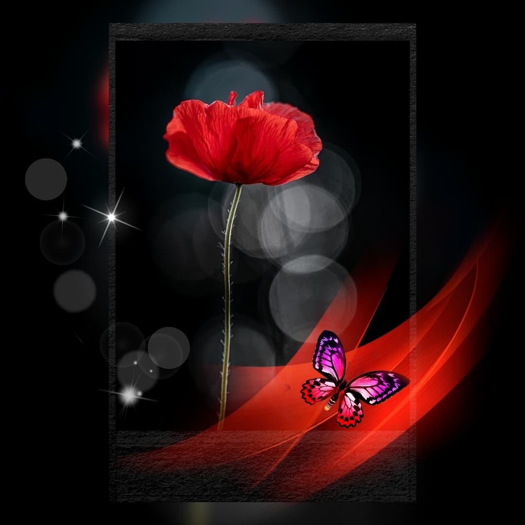 wallpaper...