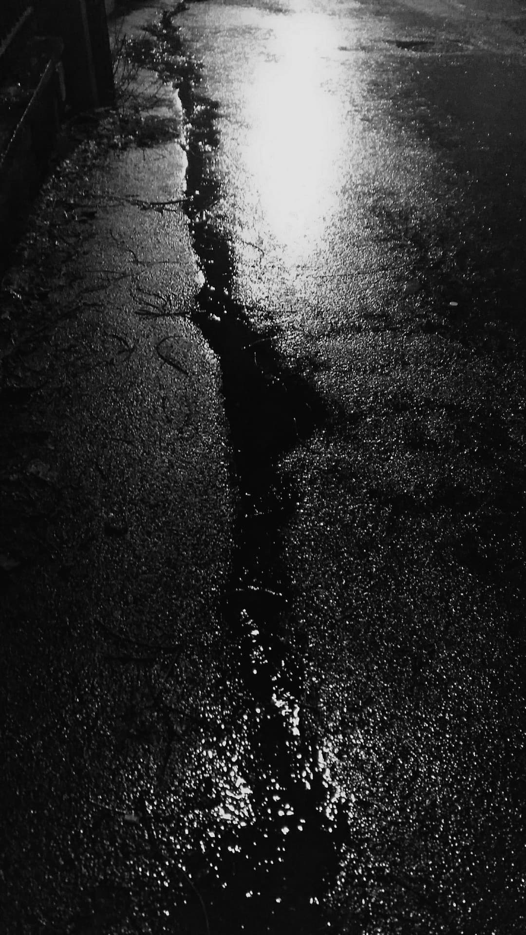 Black Water