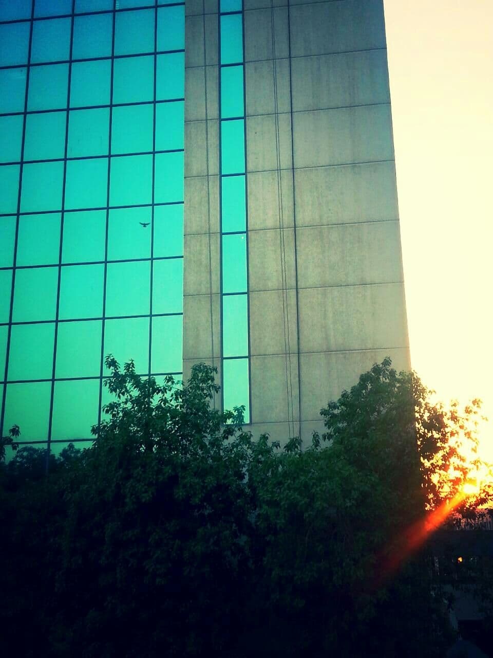 teal building