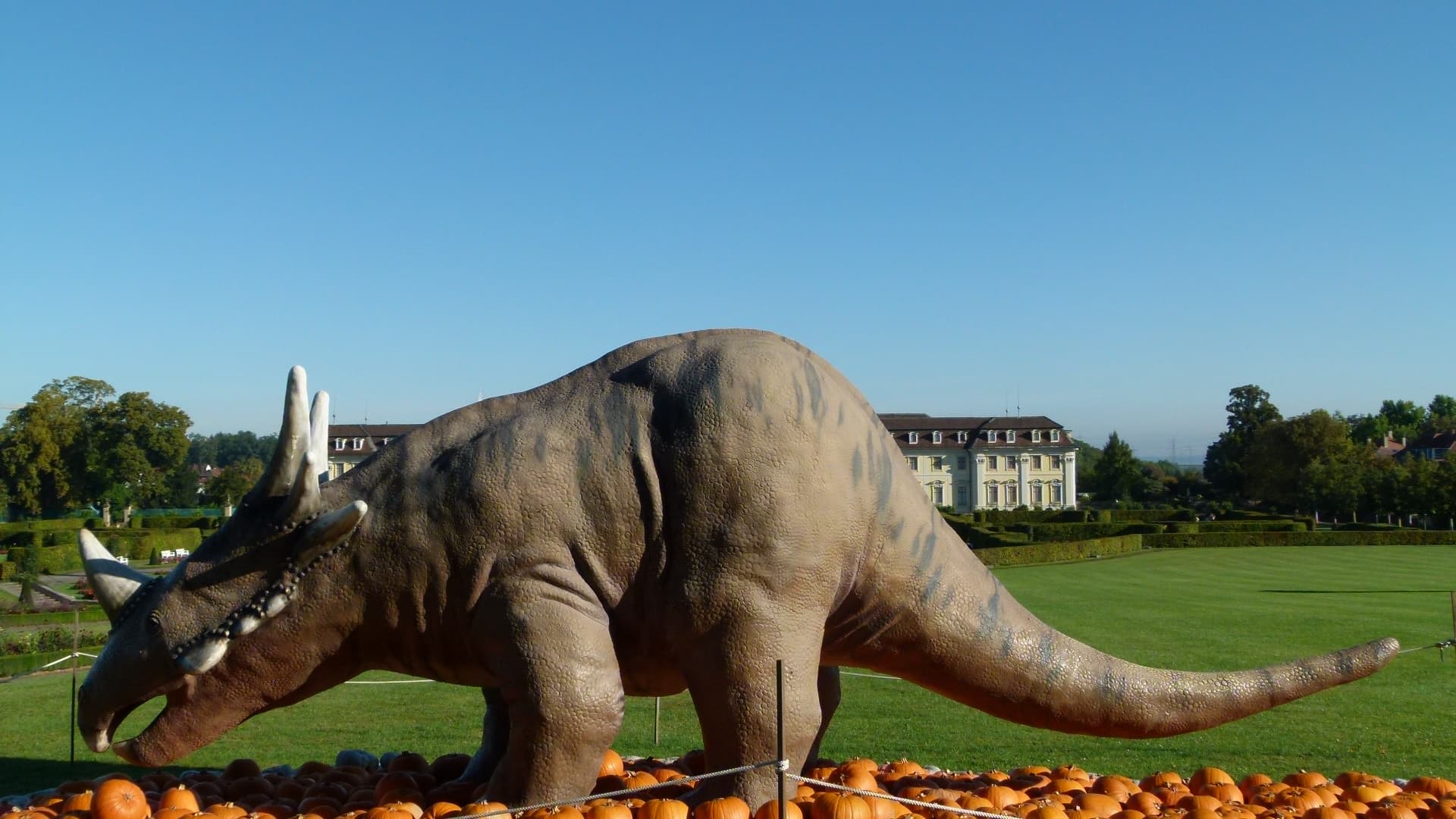 Kürbis Ausstellung Blühendes Barock Schloss Ludwigsburg 2011