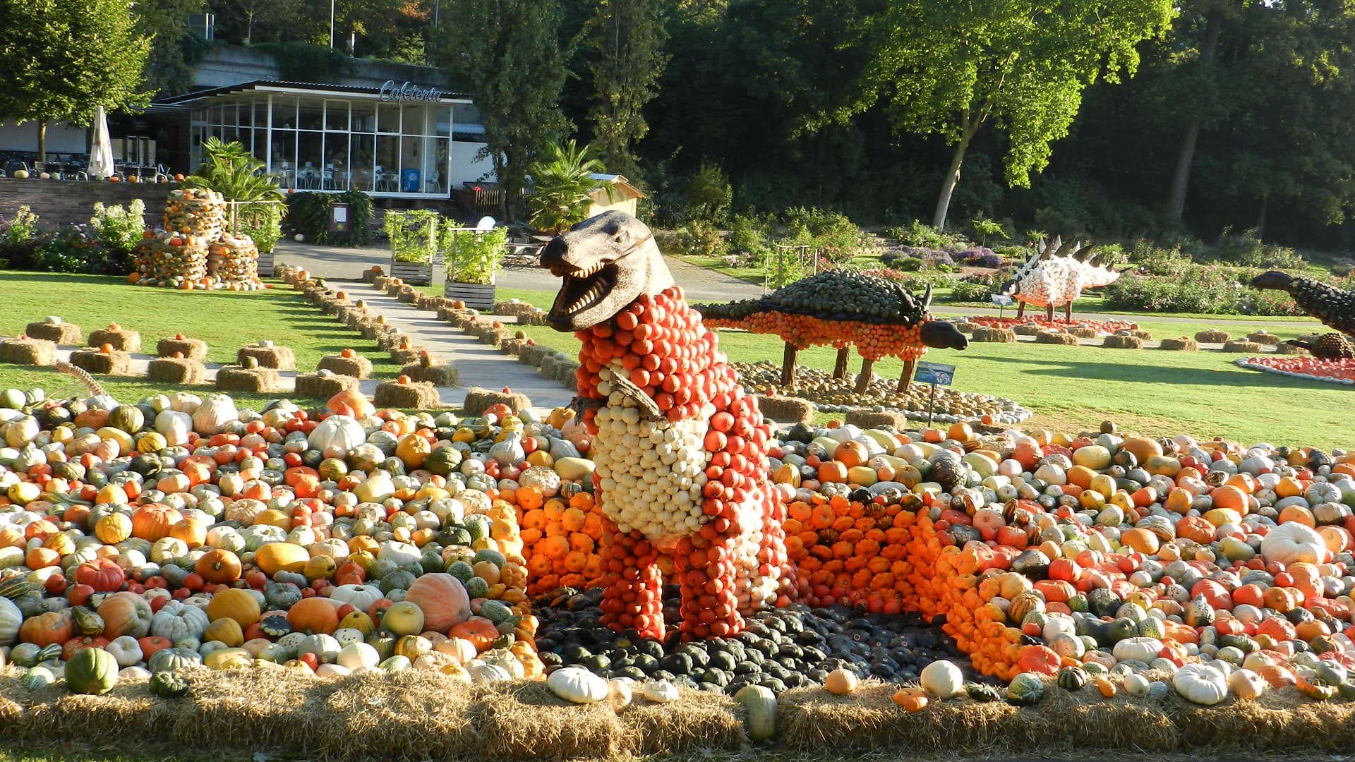 Kürbis Ausstellung Blühendes Barock Schloss Ludwigsburg 2011