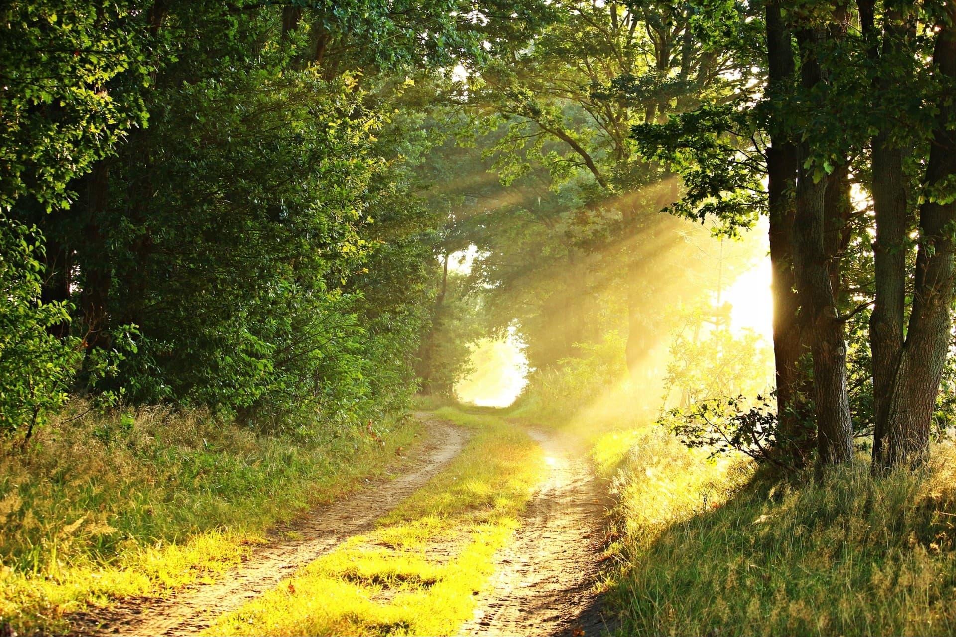 lovely sunlight....