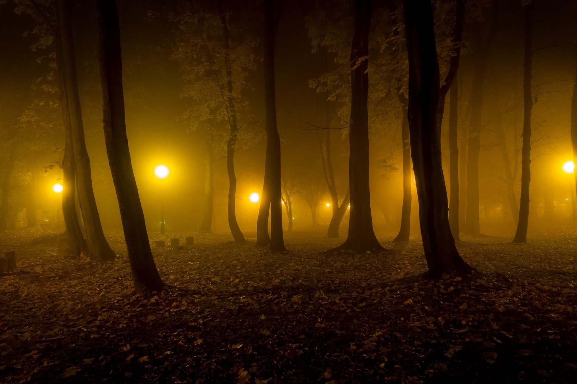 In the night....
