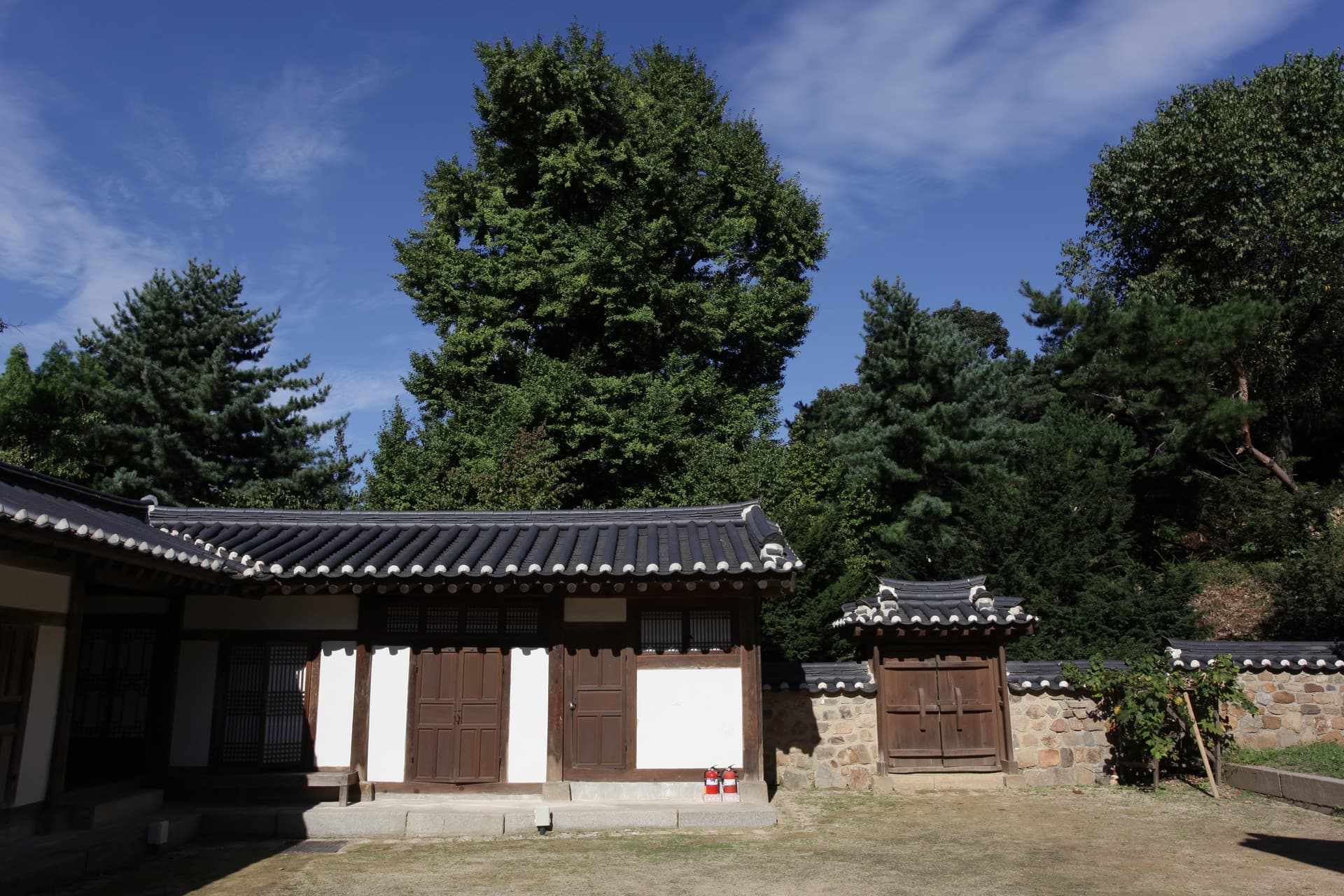 Asia