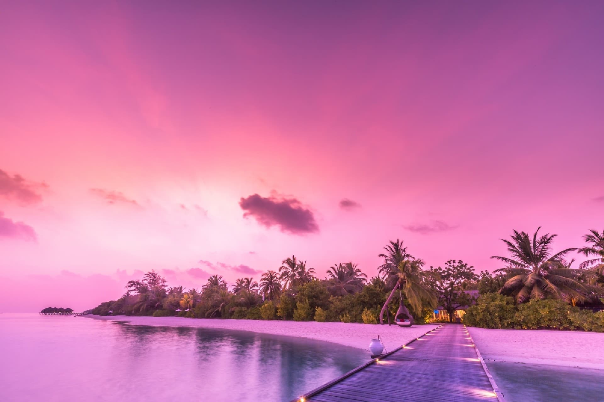 Pink Evening