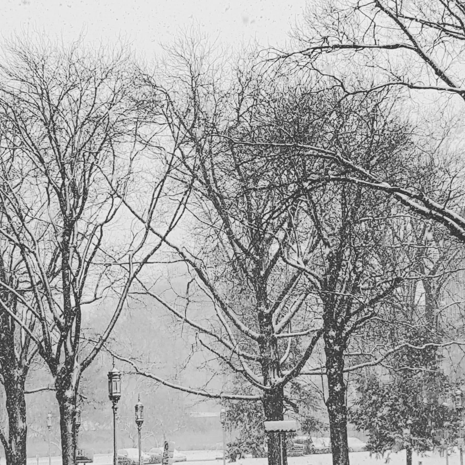 Snow