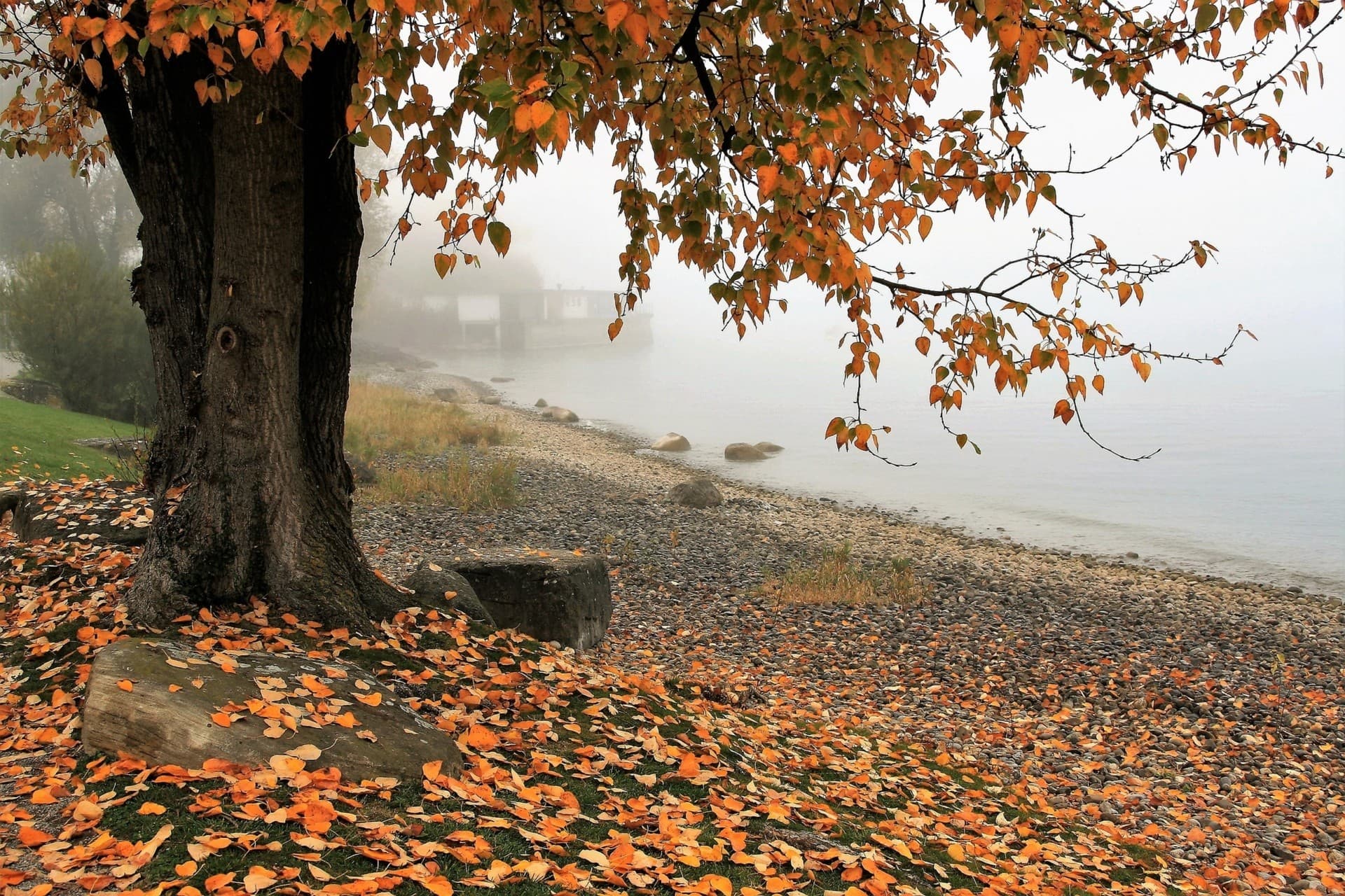 Autumn....
