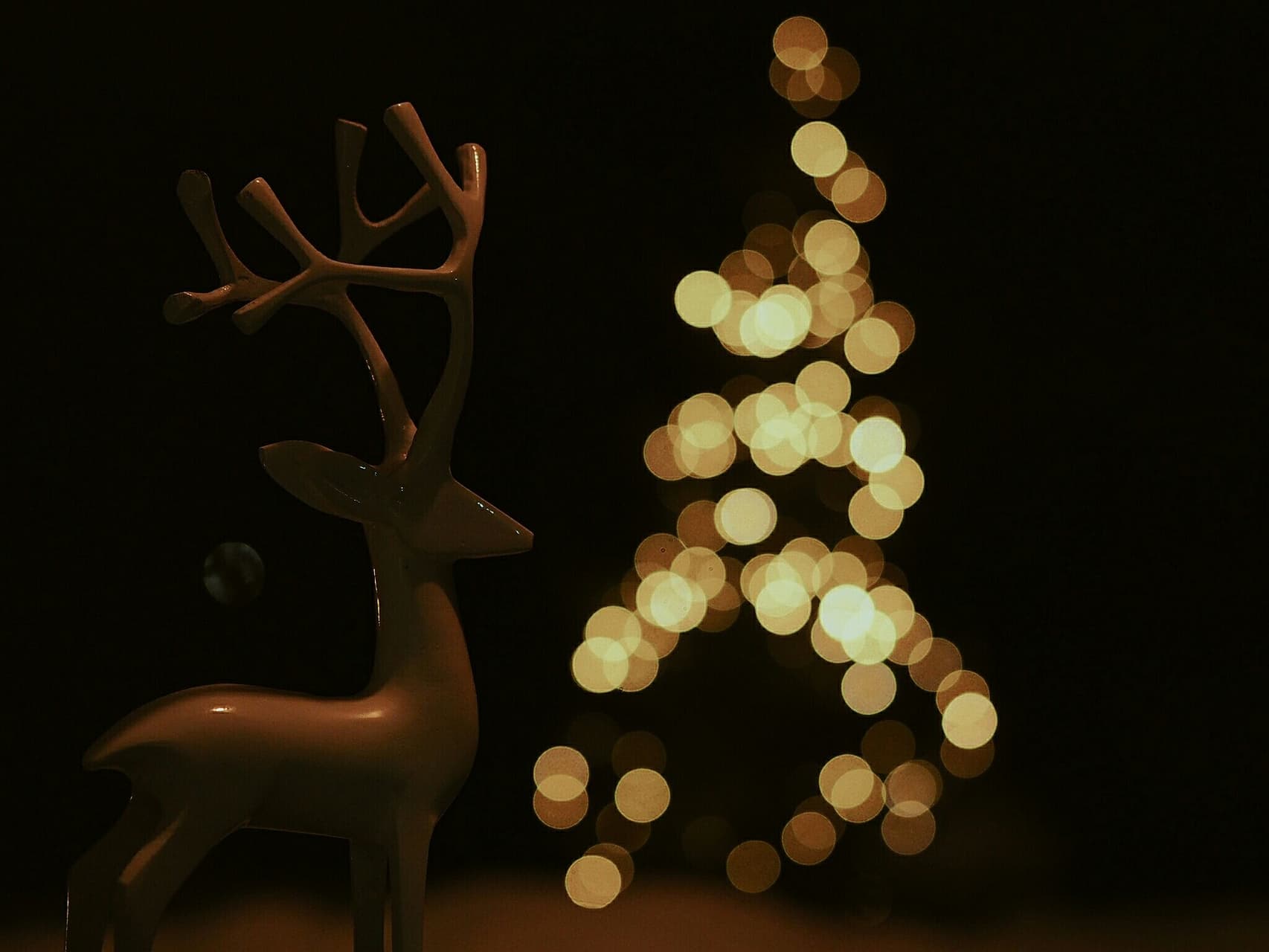 Deer meet a christmas tree