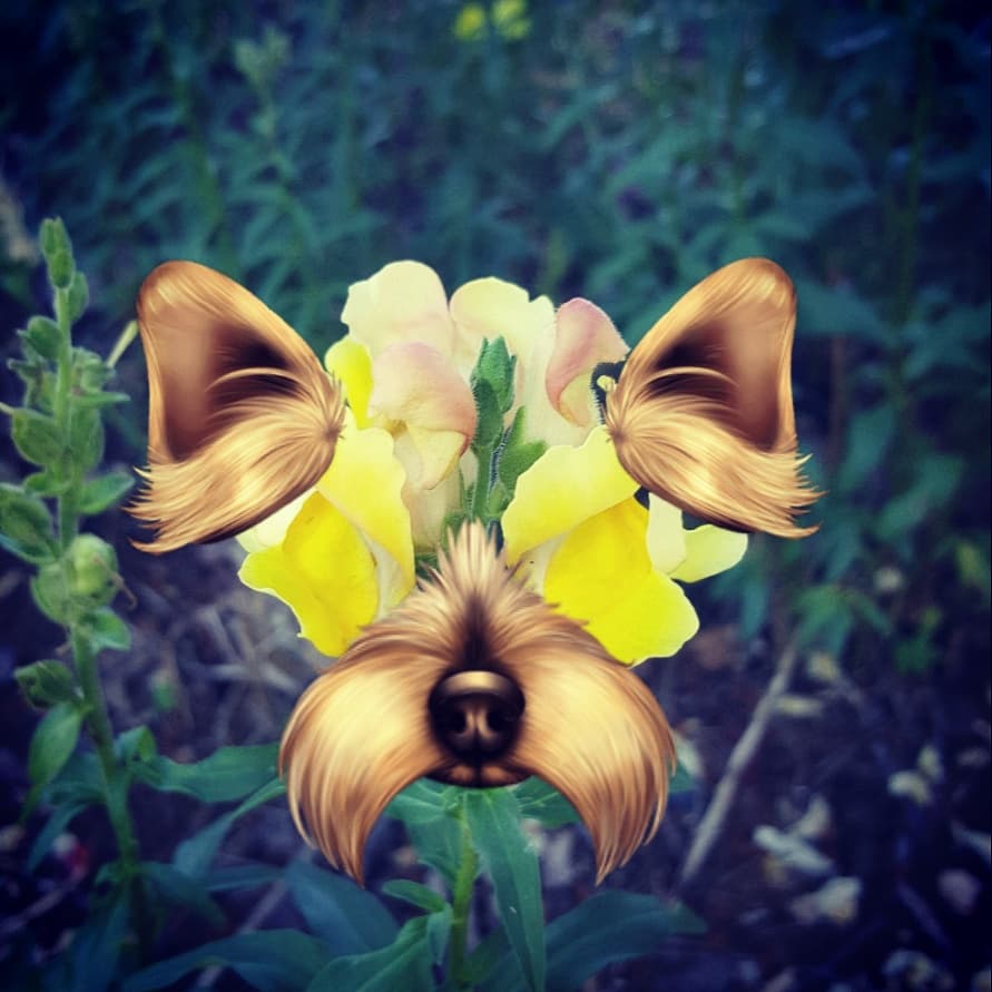 Spring Flower w/Stickers