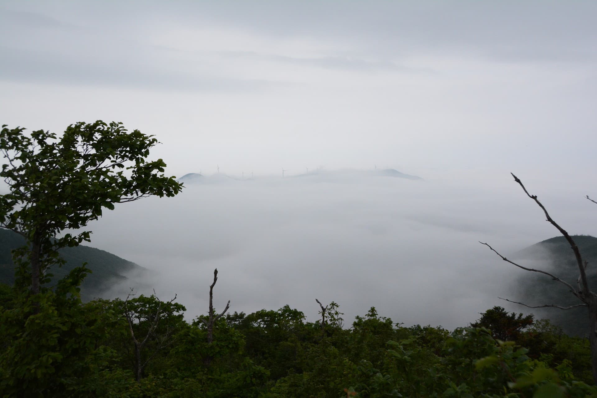 함백산이미지