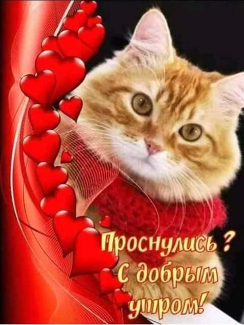 Проснулись? С хорошим утром!