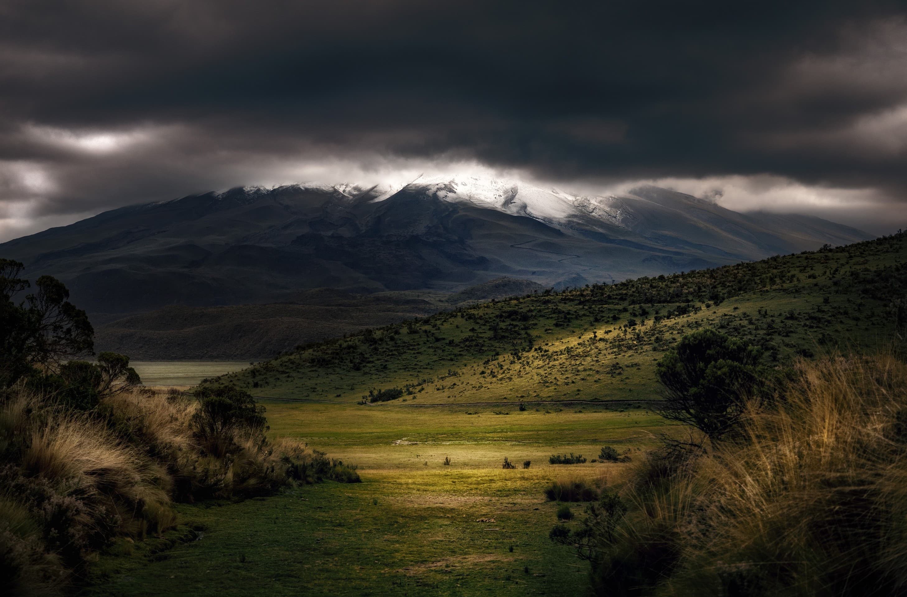 Dark nature