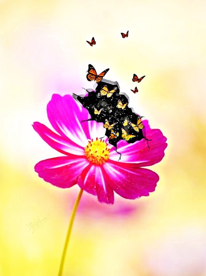 The fight for the freedom :)