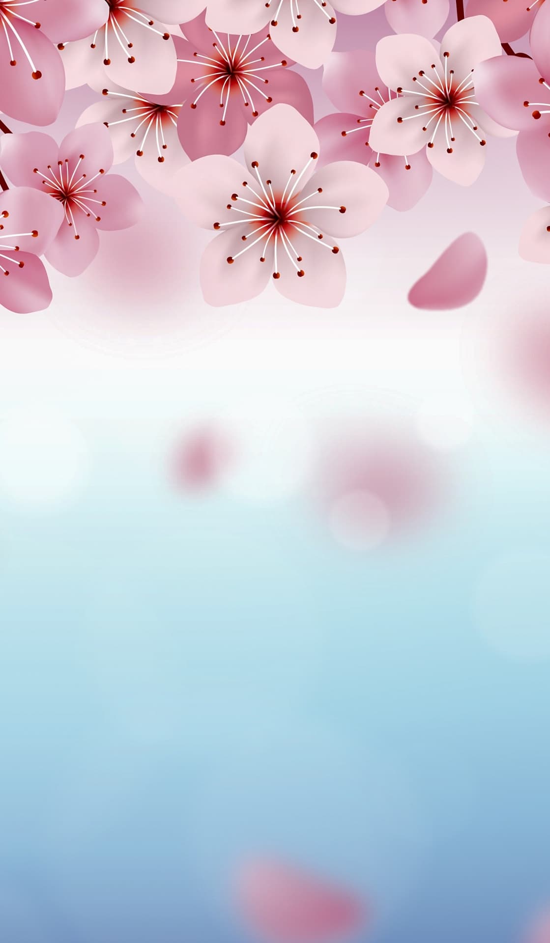 Pink Flowers