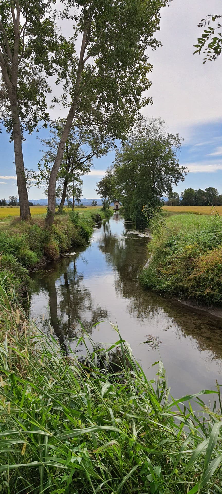 Strolling near the stream