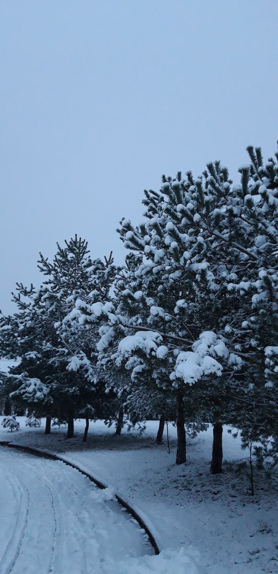 Beauty of the winter