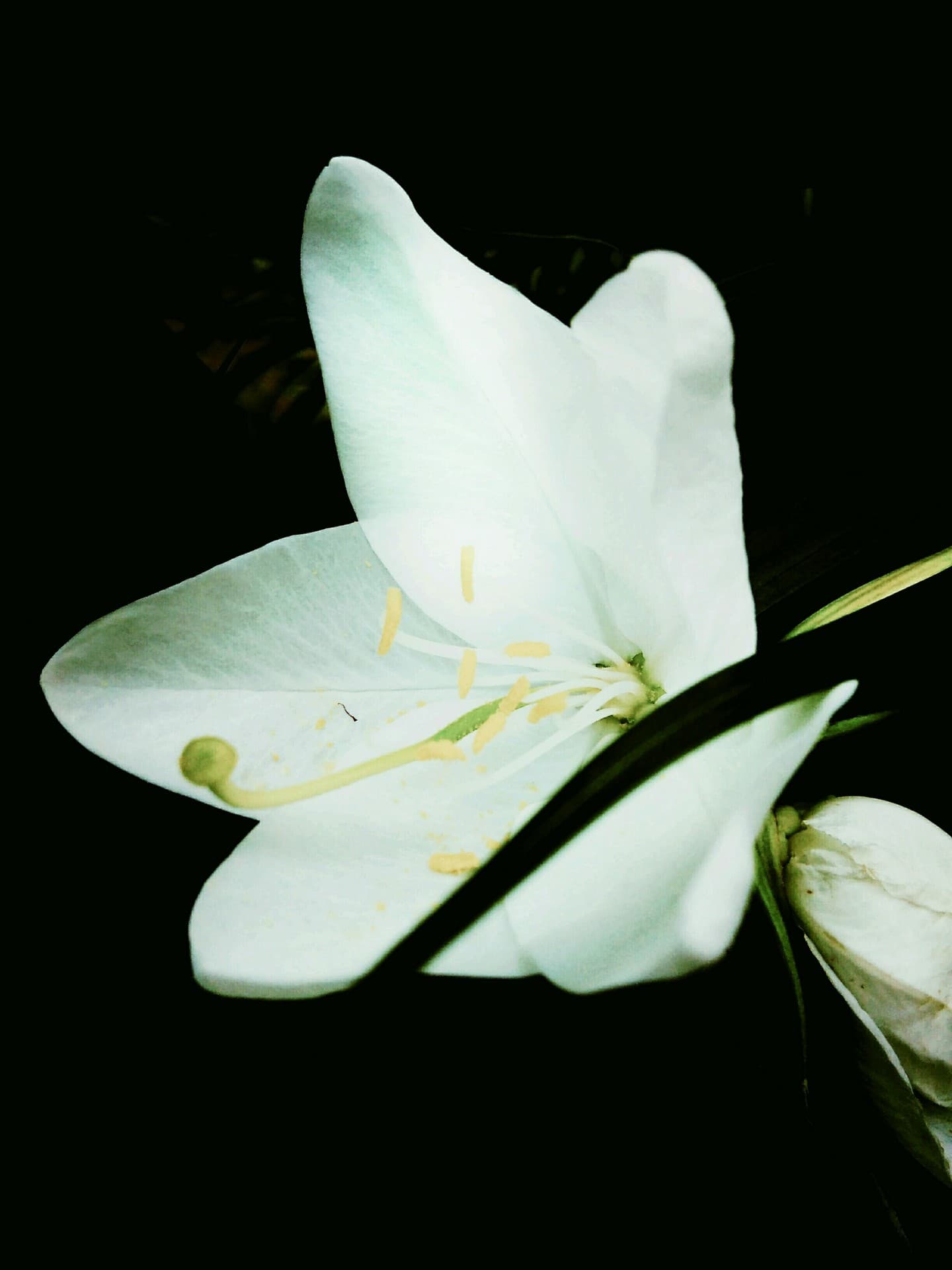 Beauty of solitude