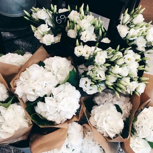 white flowers