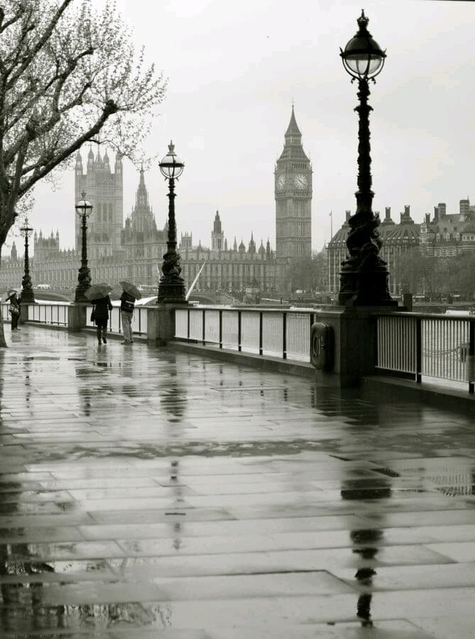 rainy morning
