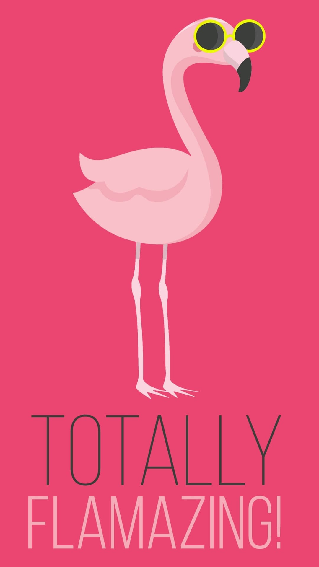 Flamingo