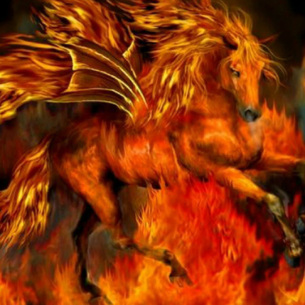 Fire up Horse!!