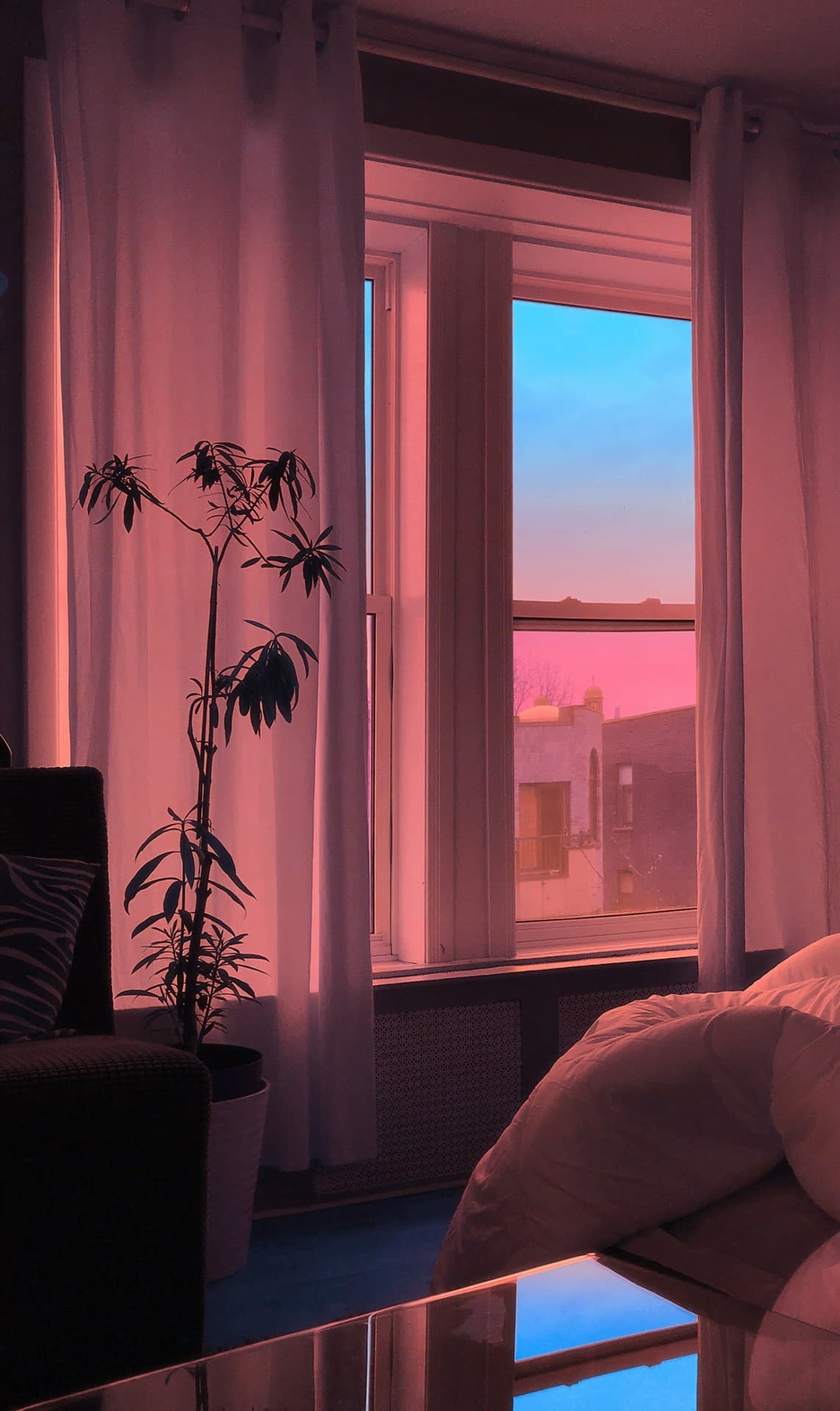 Window View