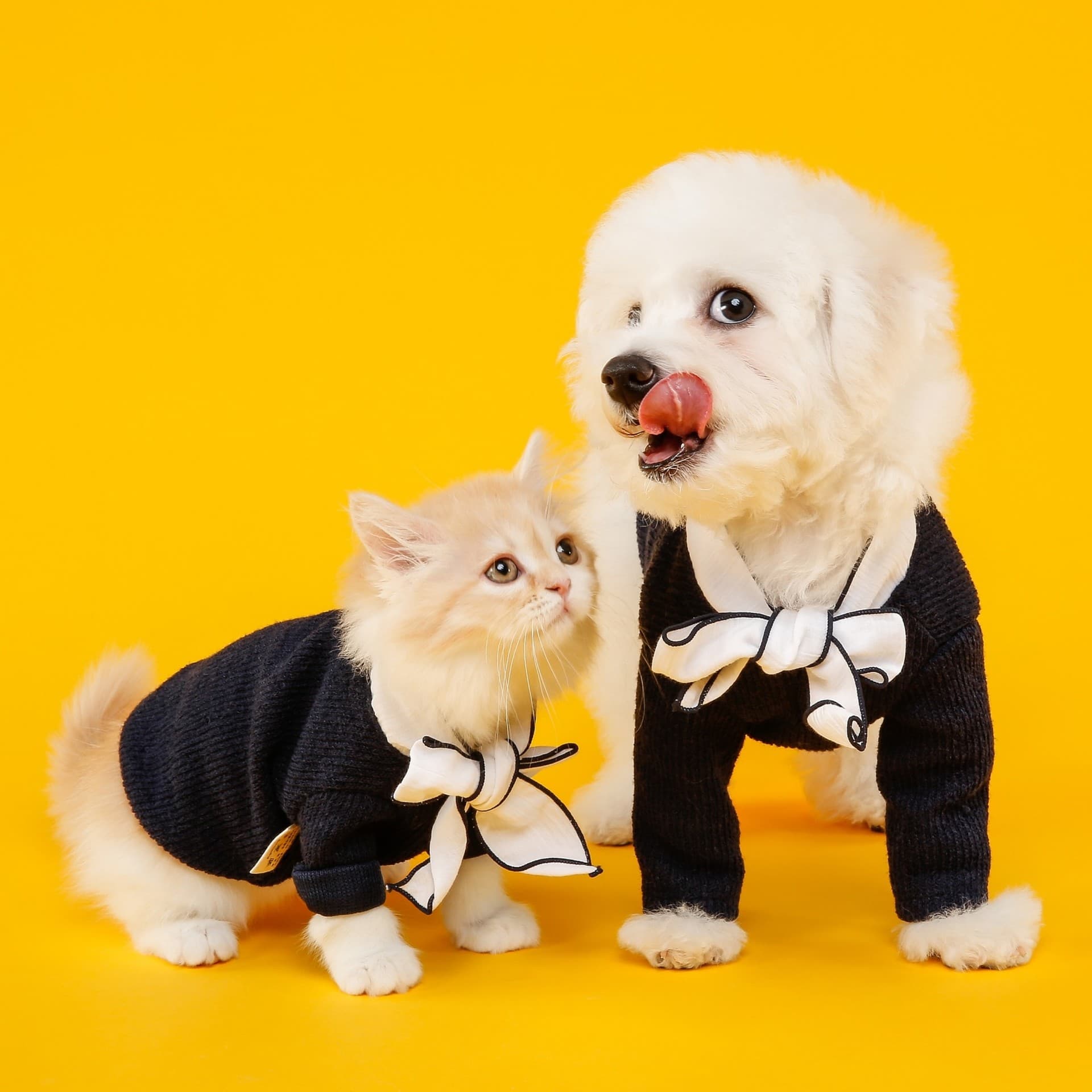 who said they cannot twin?