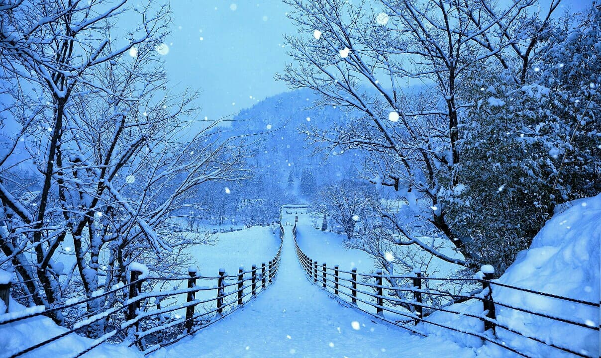 Melody of Winter.