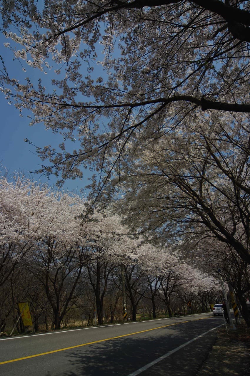 Spring