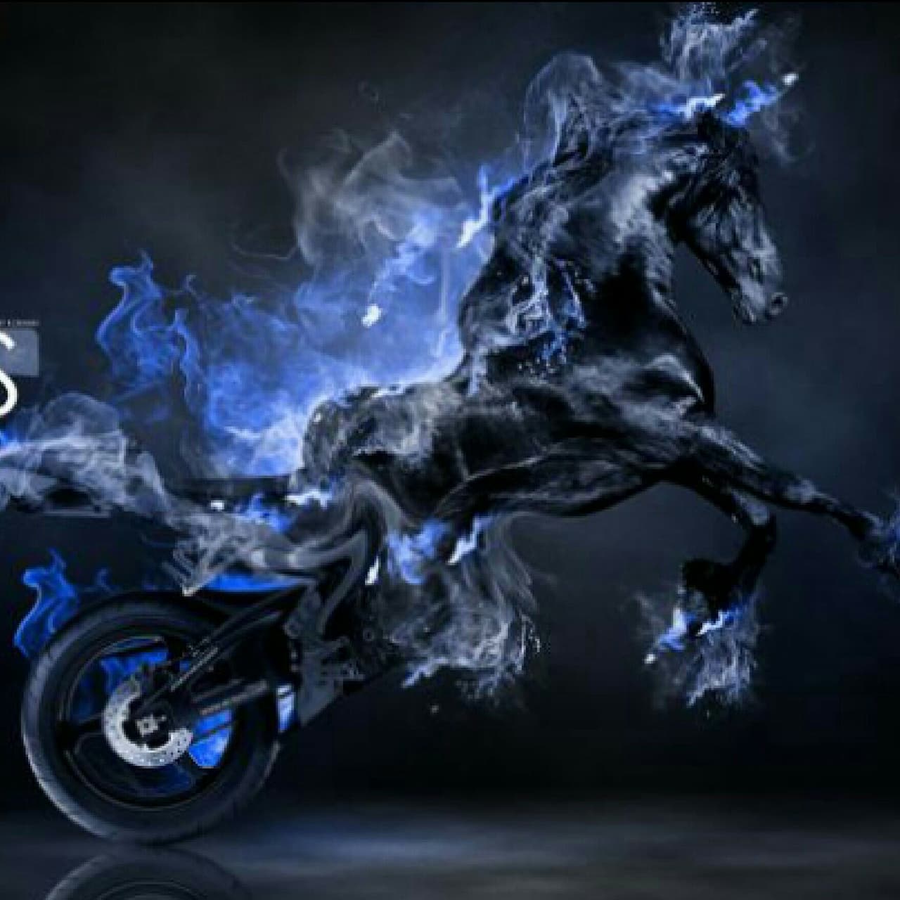 A Horse or A Bike?