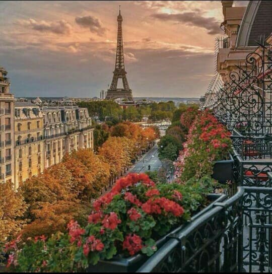 ((VILLE DE PARIS))((franch language))