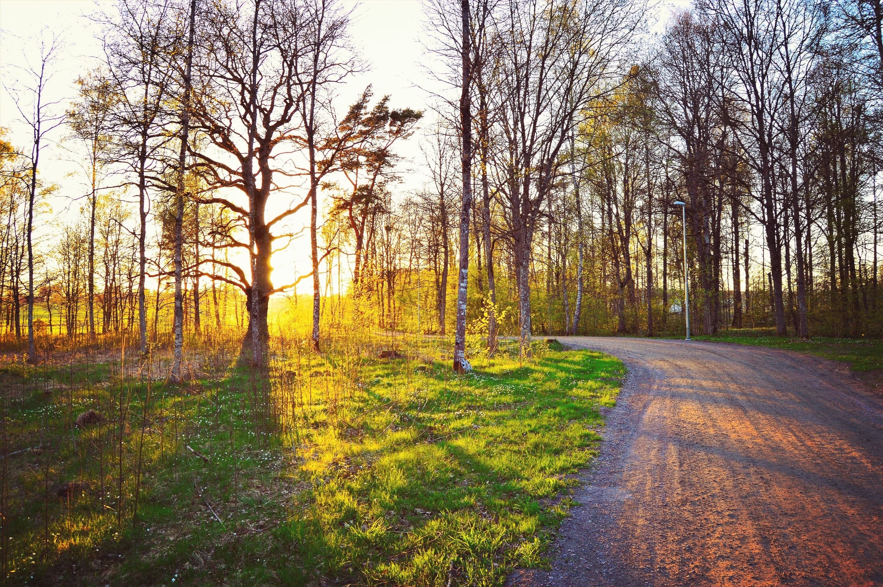 Spring Walk