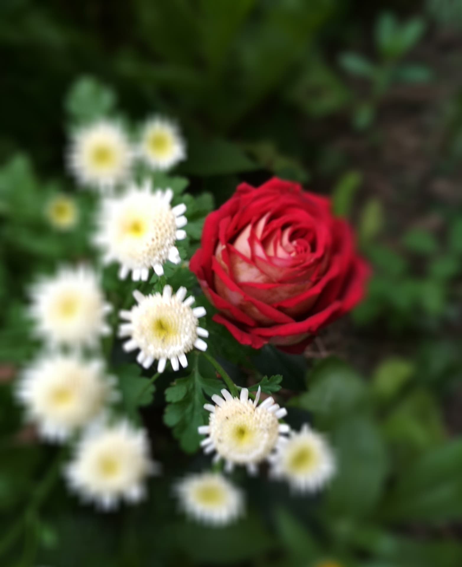 nature