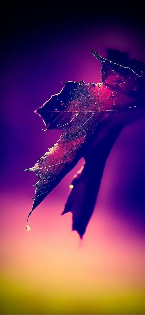 Beautiful ❤
