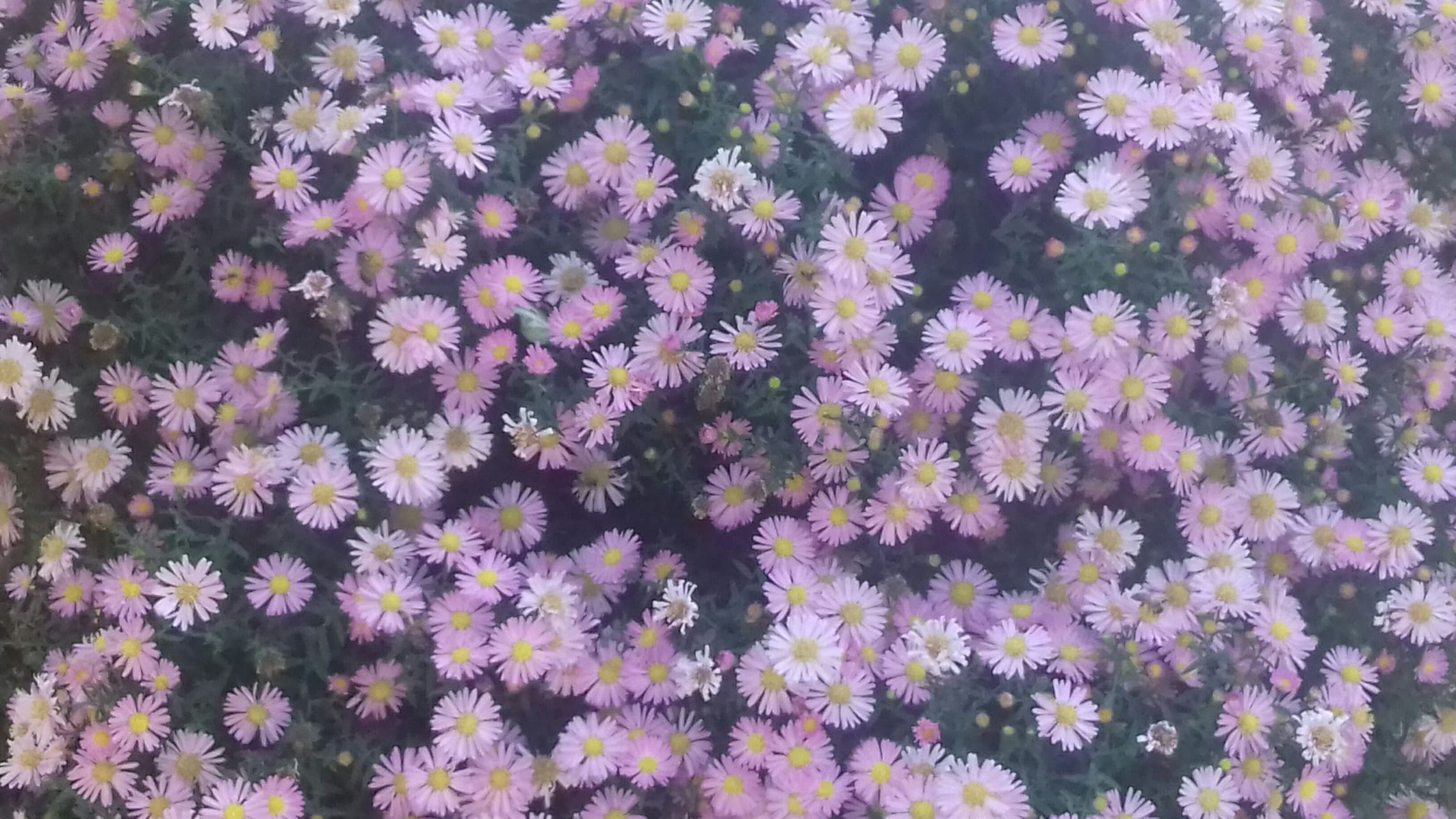 Spring is coming!