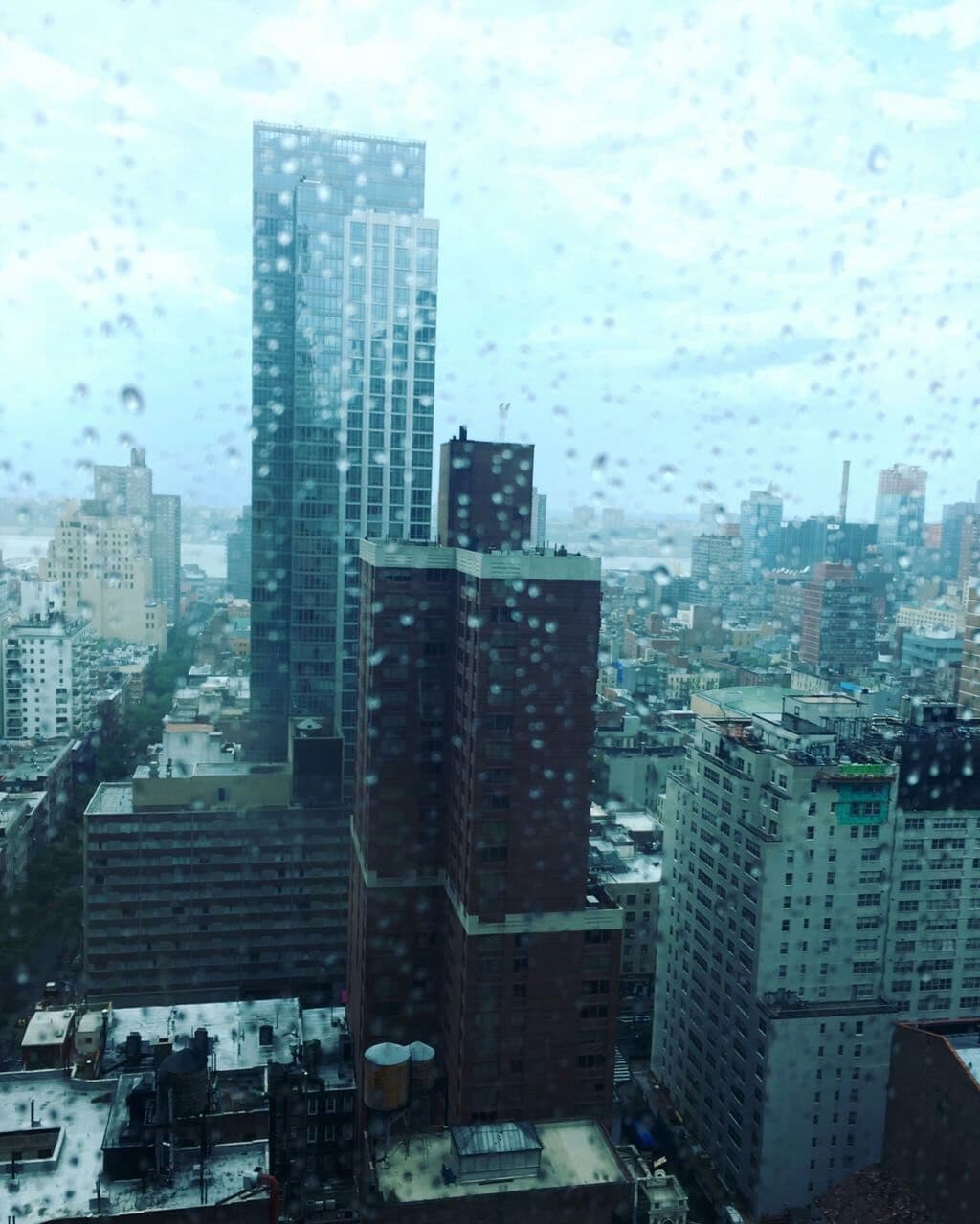NY